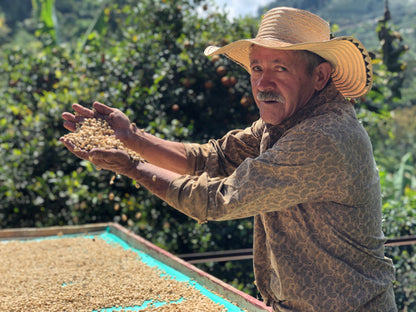 Madre Decaf: Colombian Jerico